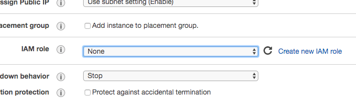 instance-details-iam-role-2