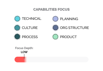 software consulting assessment for small organizations